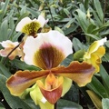 017