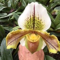 019