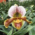 026