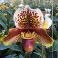 056