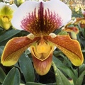 058