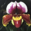 065
