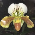 067