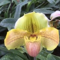 091