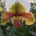 096