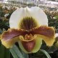 098