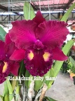 Rlc. Ahchung Ruby &quot;Siam&quot;